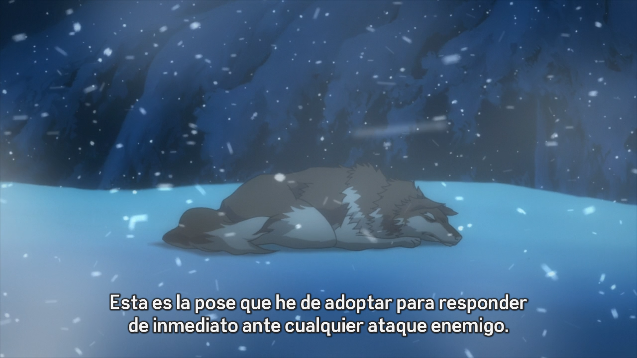 Ookami to Koushinryou II: Ookami to Kohakuiro no Yuuutsu (poxitron)